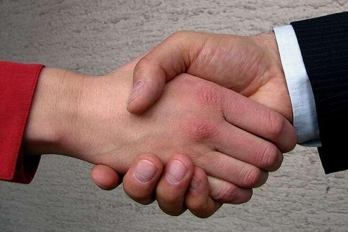 Kraśnik: Powstanie Młodzieżowa Rada Miasta Kraśnik: Powstanie Młodzieżowa Rada Miasta