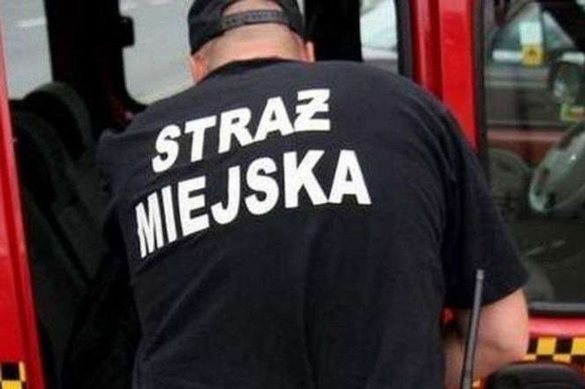 Kraśnik: Strażnicy miejscy bardziej widoczni. Jest regulamin