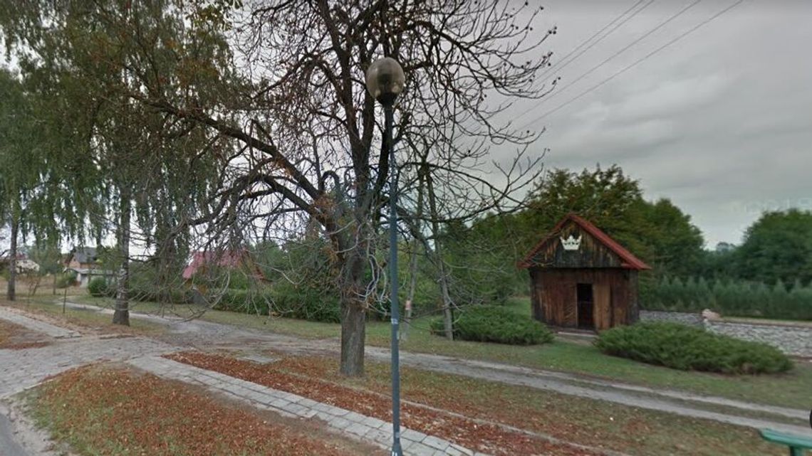 Krasnobród. Chcą wyciąć trzy pomniki przyrody Krasnobród. Chcą wyciąć trzy pomniki przyrody