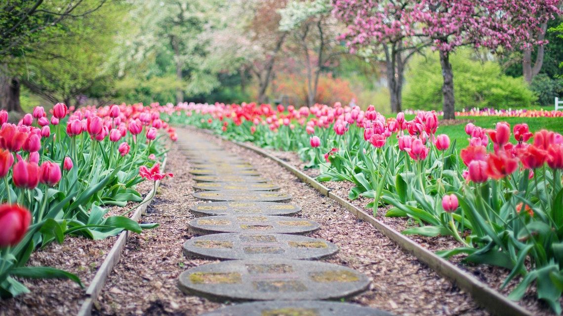 Krasnobród: Powstanie ogród sensoryczny przy szkole w Majdanie Wielkim