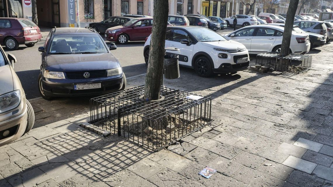 Kraty wokół drzew w Lublinie. Wymyślili je architekci z Katowic. "To smutny symbol"