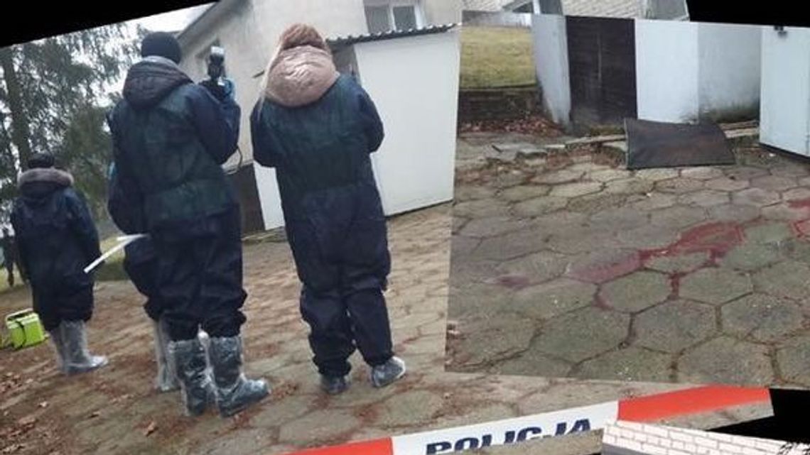 Krew po polowaniu. Weterynarze ustalili, czy dziki były chore