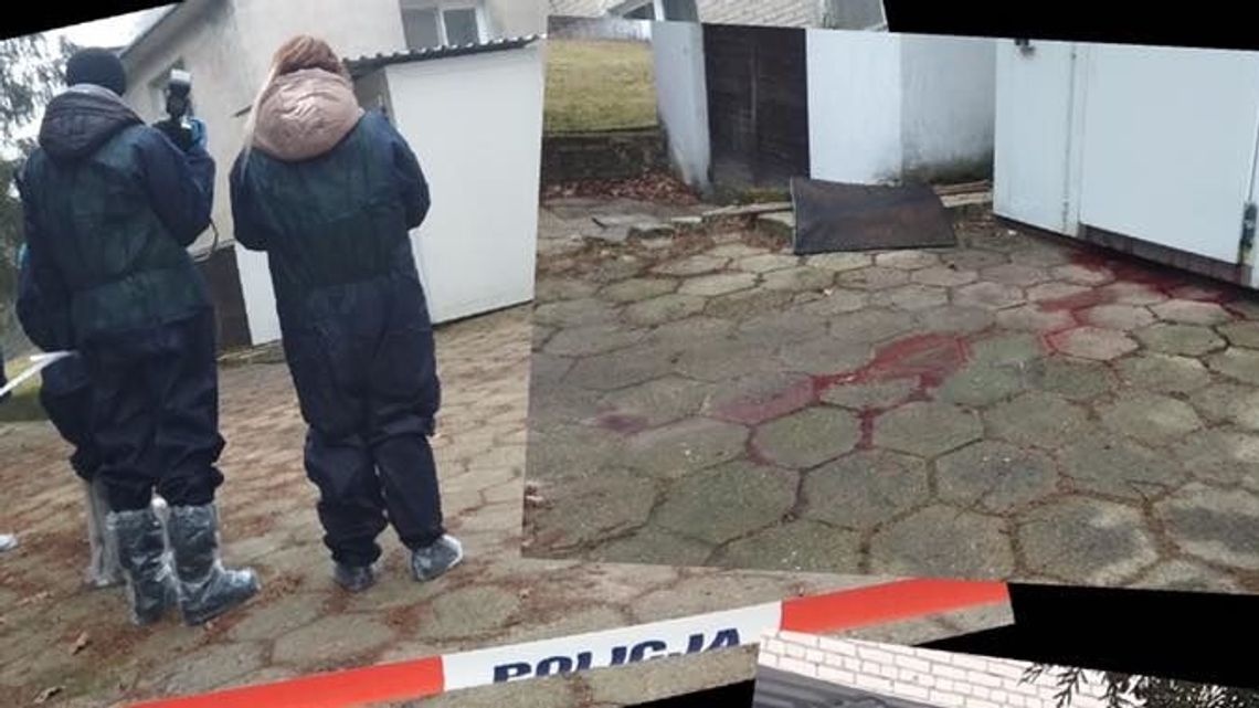 Krew zaczęła wyciekać z chłodni w Wierzchowiskach. W środku były martwe dziki Krew zaczęła wyciekać z chłodni w Wierzchowiskach. W środku były martwe dziki