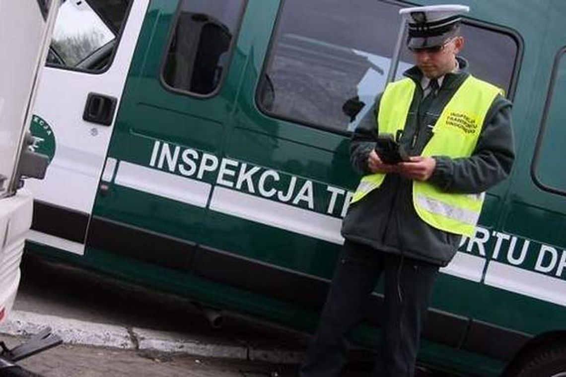 Krokodylki otworzyły drzwi. ITD odpowiadała na pytania