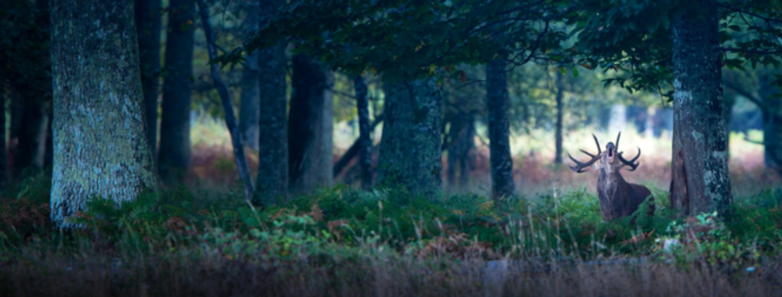 „Królestwo” w Centrum Kultury w Lublinie