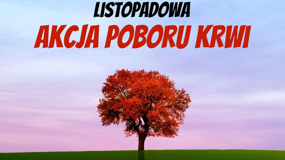 Krwawa niedziela w Białowoli, a dla każdego prezent