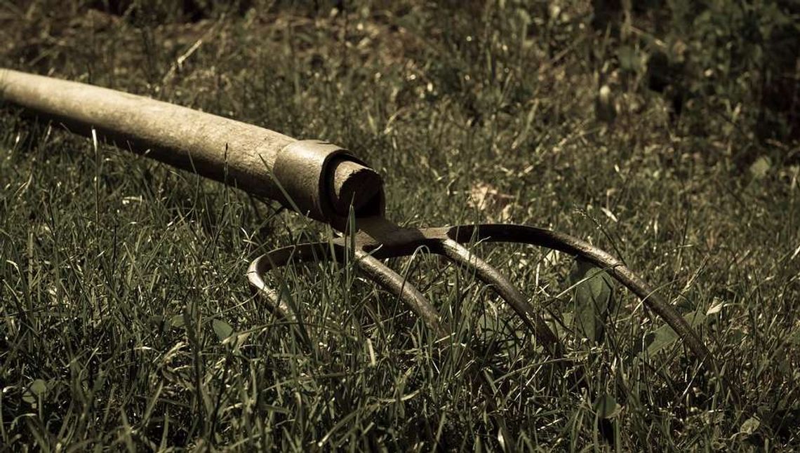 Krwawy finał sąsiedzkiego konfliktu. Chciała wyjaśnić nieporozumienie z widłami w ręku Krwawy finał sąsiedzkiego konfliktu. Chciała wyjaśnić nieporozumienie z widłami w ręku