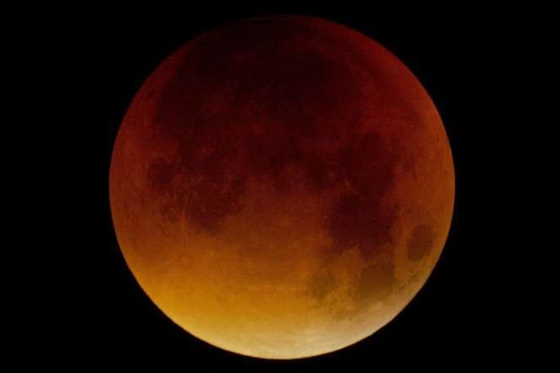 Krwawy olbrzym na nocnym niebie. Zaćmienie Księżyca - zdjęcia Czytelników Krwawy olbrzym na nocnym niebie. Zaćmienie Księżyca - zdjęcia Czytelników