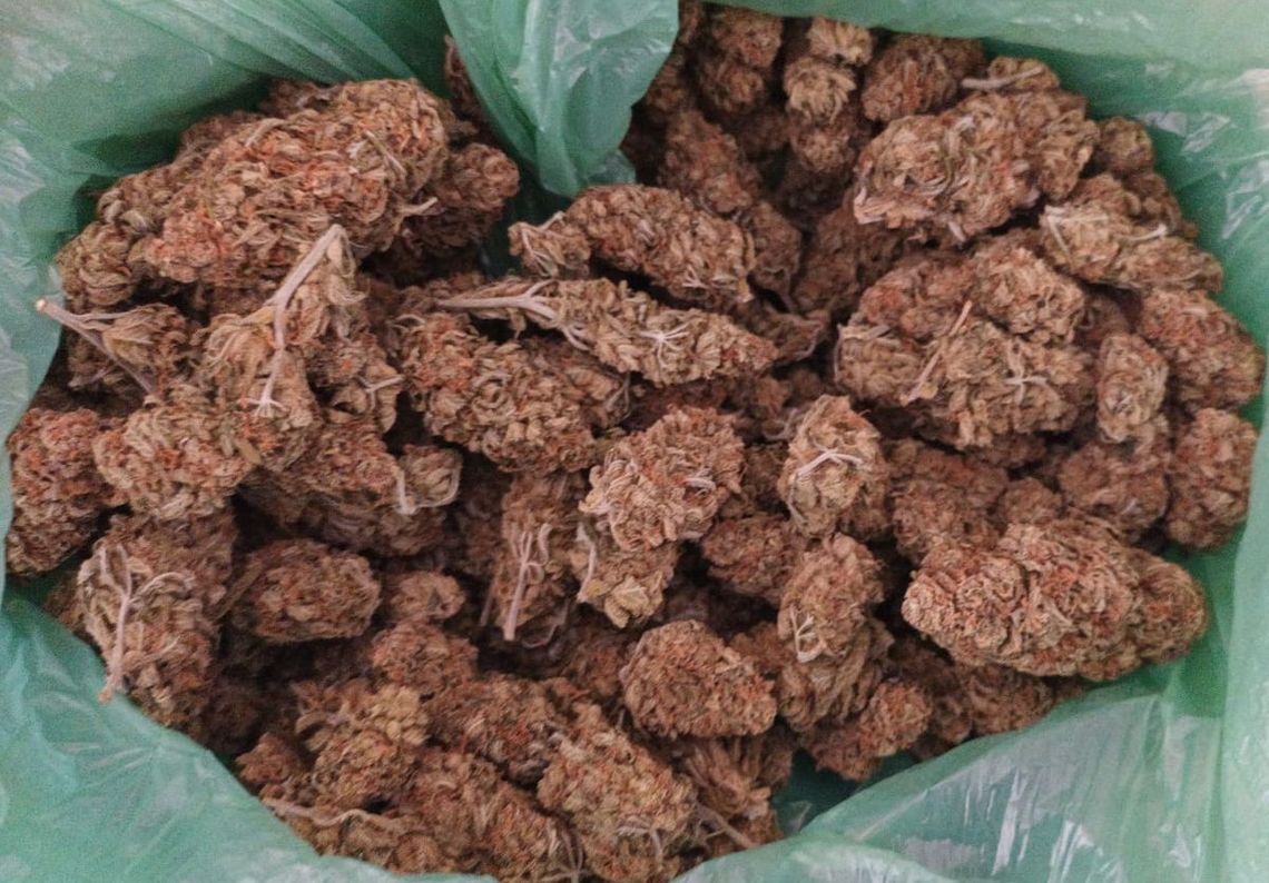 Policja Chełm marihuana