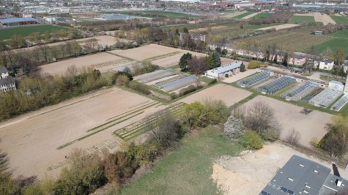 Kryta ujeżdżalnia i hipodrom powstaną na Felinie. Uczelnia planuje wycinkę 228 drzew