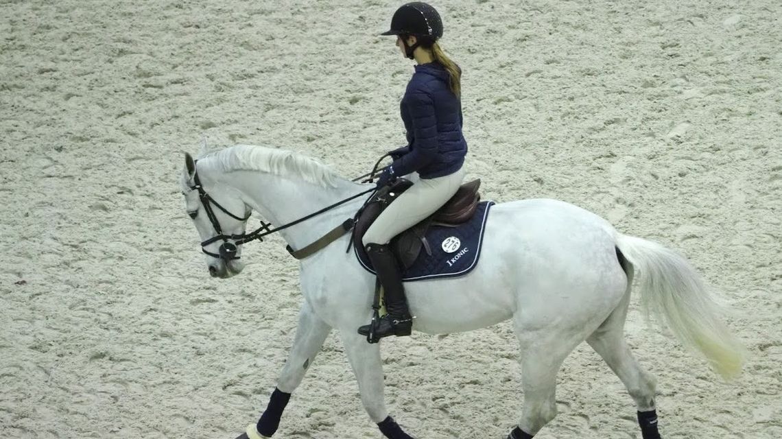 Kryta ujeżdżalnia i hipodrom powstanie w Lublinie. Będzie też zwierzętarnia z psami, alpakami i osłami