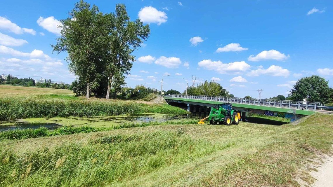 Krzna zarasta. Kosić nie było wolno przez ptaki 