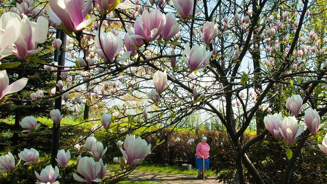 Krzysztof Gołuch i Paweł Tomczyk gośćmi Akademii Odkryć Fotograficznych