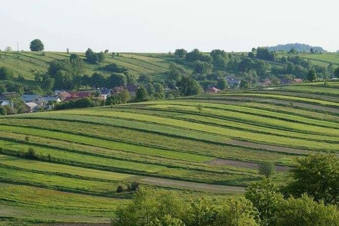 Kto jest właścicielem działki – jak to sprawdzić?