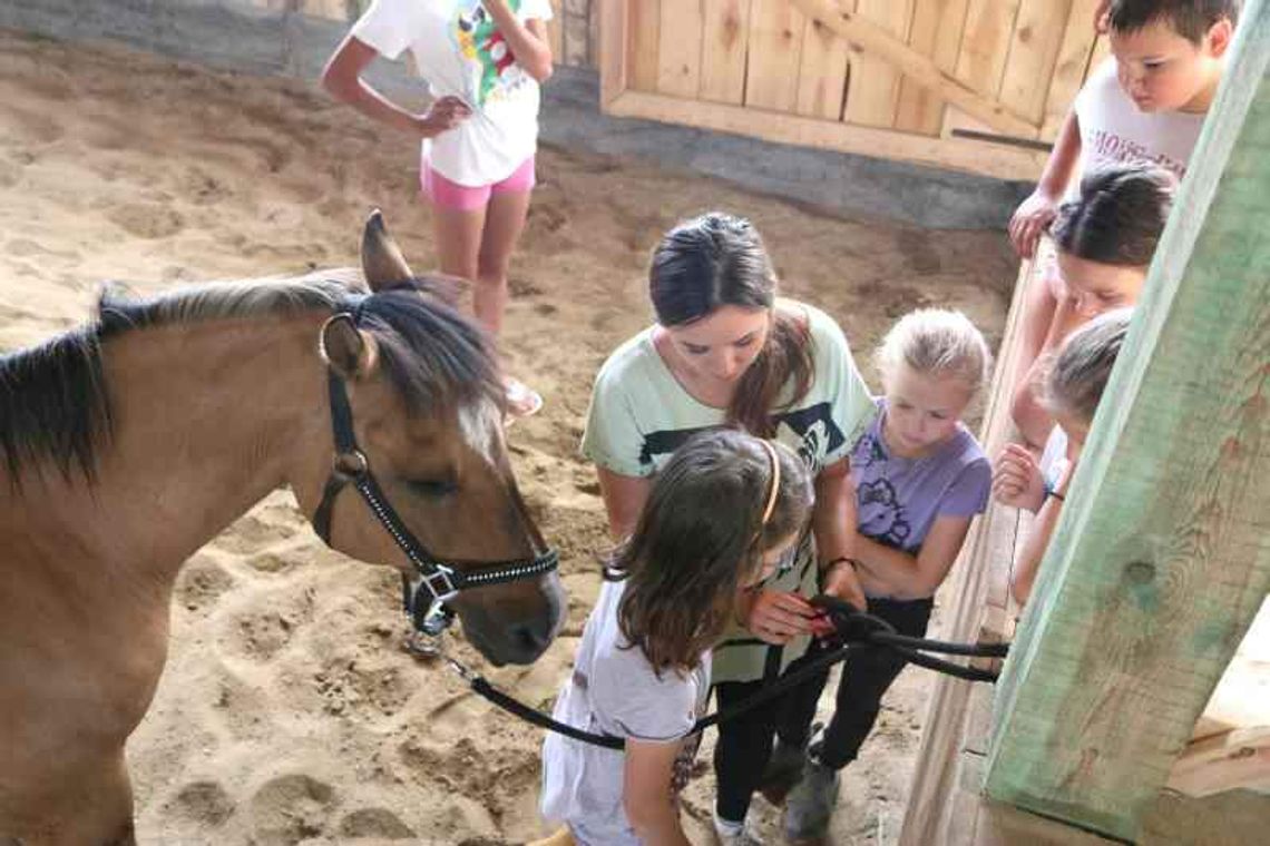 Kto kogo sprawdza i kto znajduje dzikie półkolonie