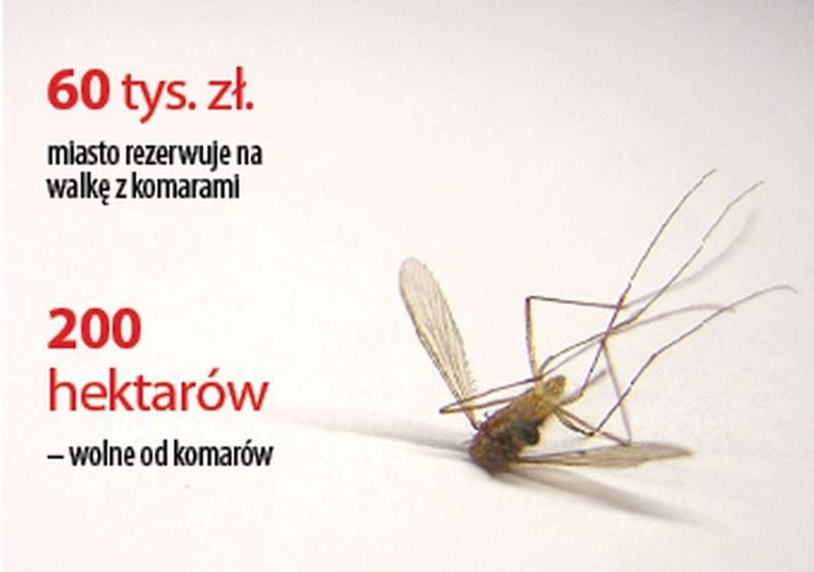 Kto się zajmie komarami w Lublinie? Ratusz dostanie oferty Kto się zajmie komarami w Lublinie? Ratusz dostanie oferty