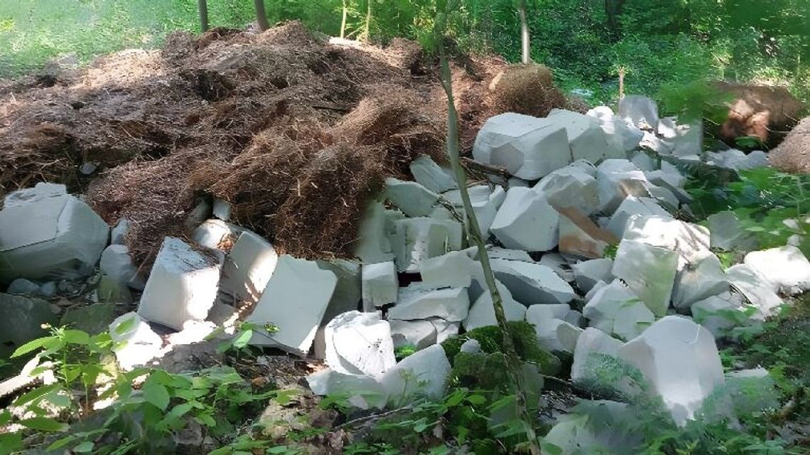 Kto śmieci w lesie koło Kozłówki? "To wstyd"