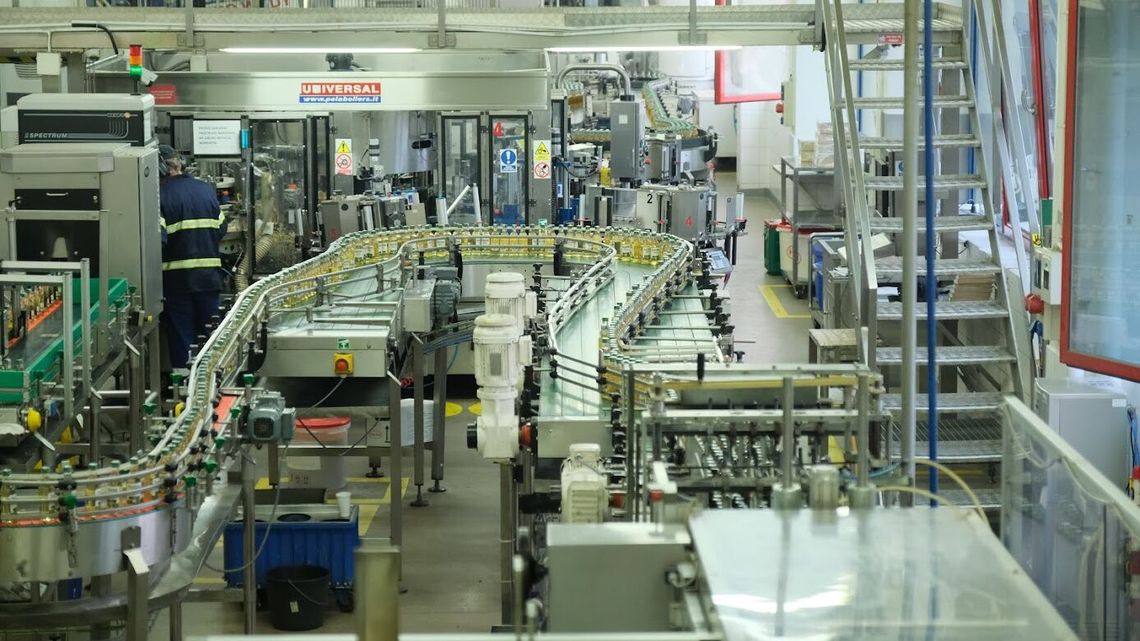 Kto w Polsce płaci największe podatki? Na liście firma z Lublina