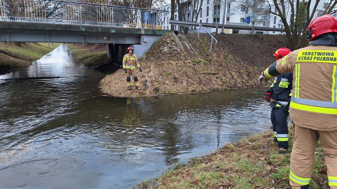 Kto zanieczyścił rzekę? Do akcji wkroczyły służby