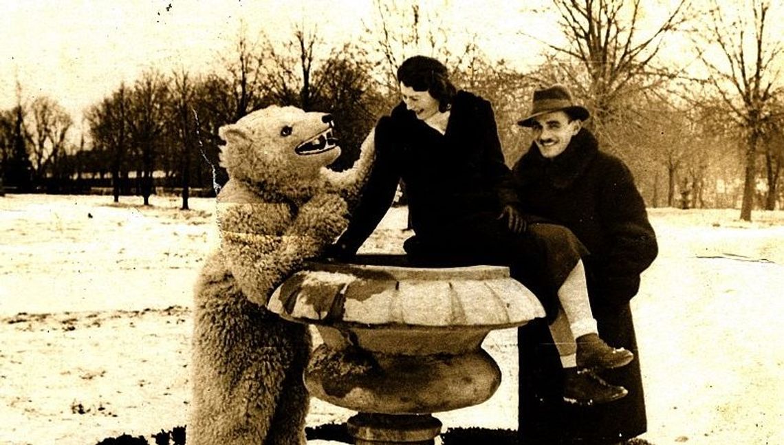 Kto zna historię białego misia z Zamościa. Czekamy na Wasze zdjęcia