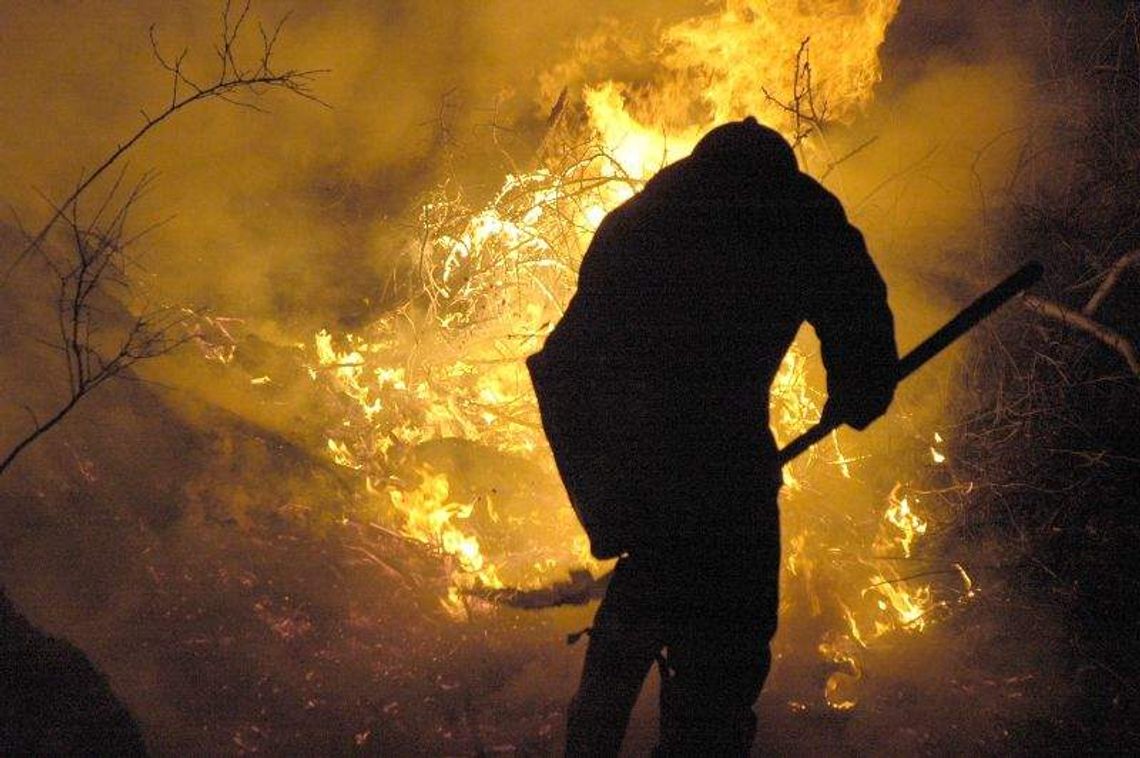 Ktoś podpalił las podczas święta strażaków. Wójt: 2 tys. zł nagrody za informację Ktoś podpalił las podczas święta strażaków. Wójt: 2 tys. zł nagrody za informację