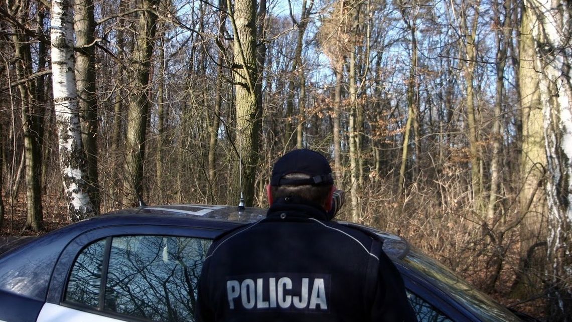 Ktoś rozwiesił ładunki wybuchowe na drzewach. Taki sygnał postawił na nogi strażaków i policjantów