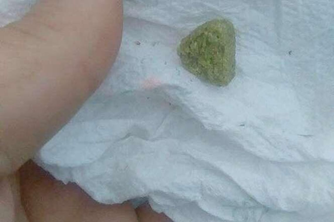 Ktoś truje psy na osiedlu w Lublinie. "To trwa już od roku"