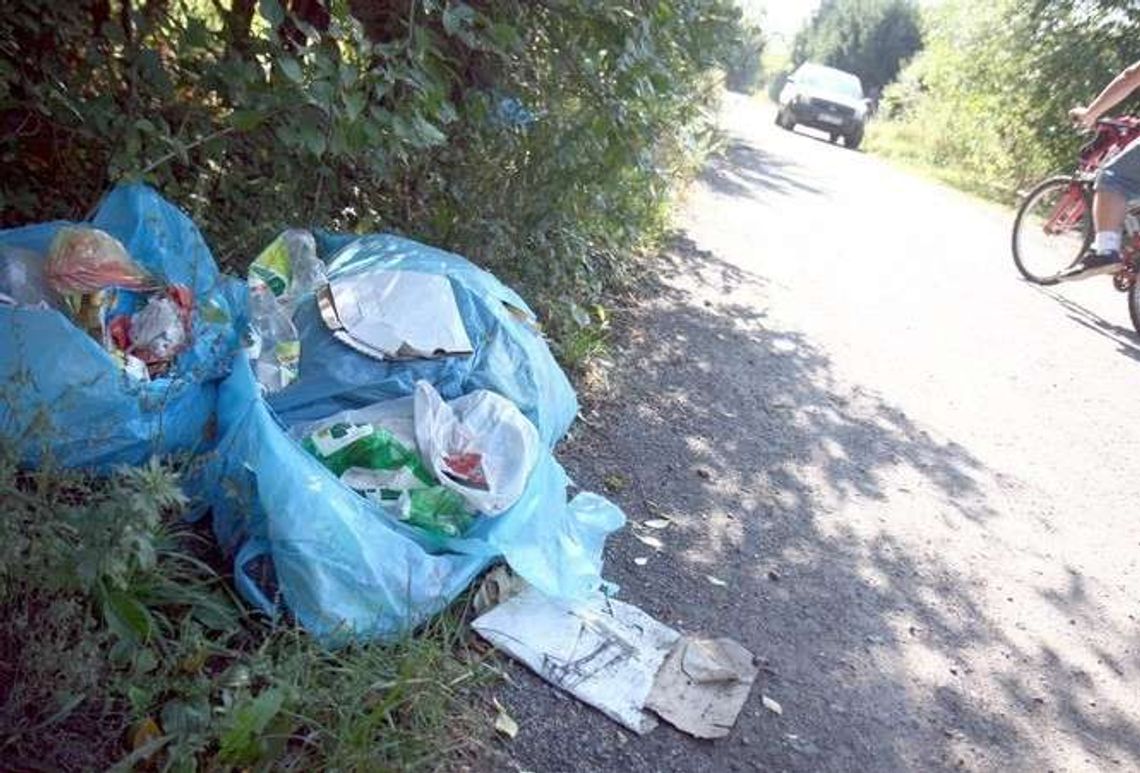 Ktoś ukradł zamaskowane kamery Straży Miejskiej. Miały pomóc w łapaniu podrzucających śmieci Ktoś ukradł zamaskowane kamery Straży Miejskiej. Miały pomóc w łapaniu podrzucających śmieci