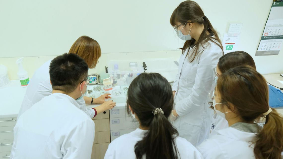 KUL chce uczyć przyszłych lekarzy. Co na to Uniwersytet Medyczny? KUL chce uczyć przyszłych lekarzy. Co na to Uniwersytet Medyczny?