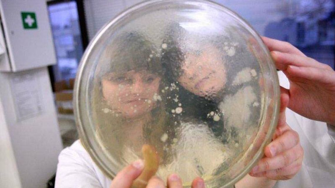 KUL i UMCS w ten weekend organizują Noc Biologów. Jak się zapisać