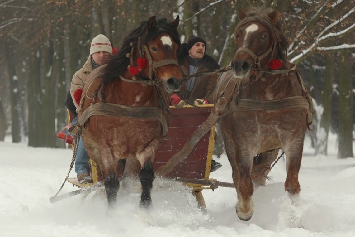 Kulig nad Zalewem Zemborzyckim (zdjęcia) Kulig nad Zalewem Zemborzyckim (zdjęcia)