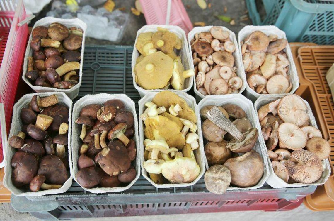 Kulinarna Mapa Lubelszczyzny: Polowanie na kanie