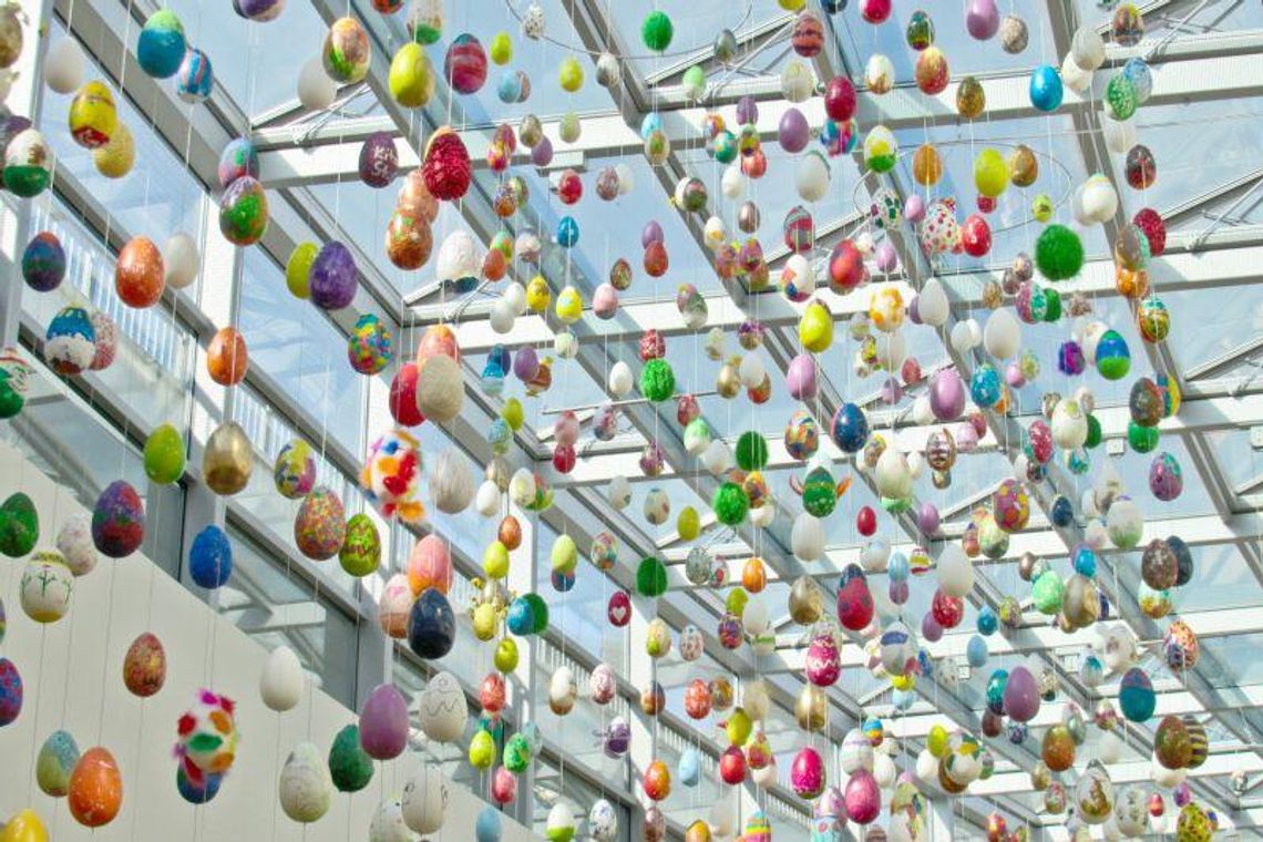 Kulinarna Mapa Lubelszczyzny: Przedświąteczny smak