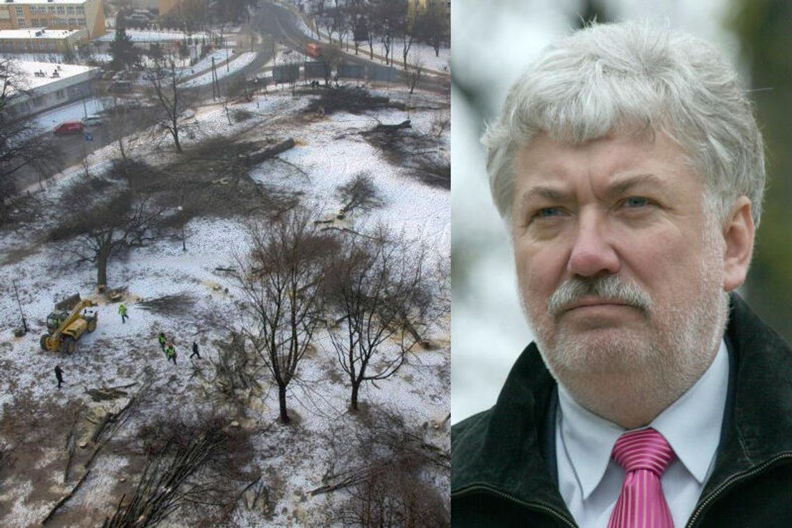 Kulisy wycinki drzew w centrum Lublina: Najpierw podpis, potem kolacja