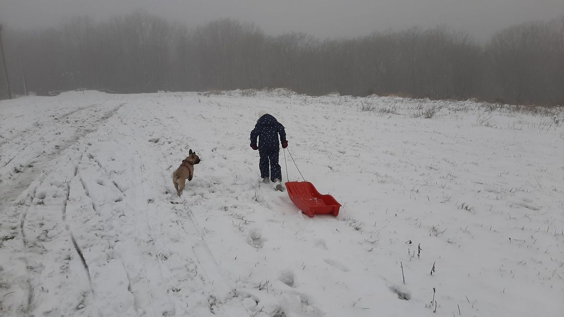 Kumowa Dolina w Chełmie cała w śniegu. Czas na sanki [WASZE ZDJĘCIA]