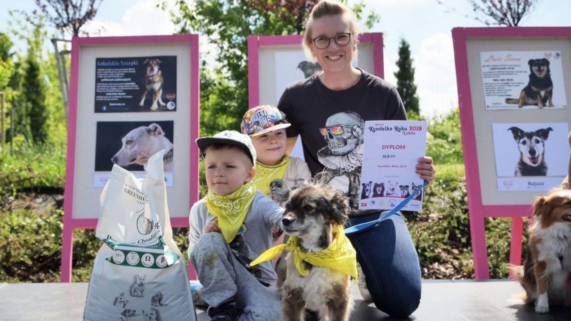 Kundelki Lublina i Schroniska wybrane. Zwyciężyły Mania i Ramzes [zdjęcia]