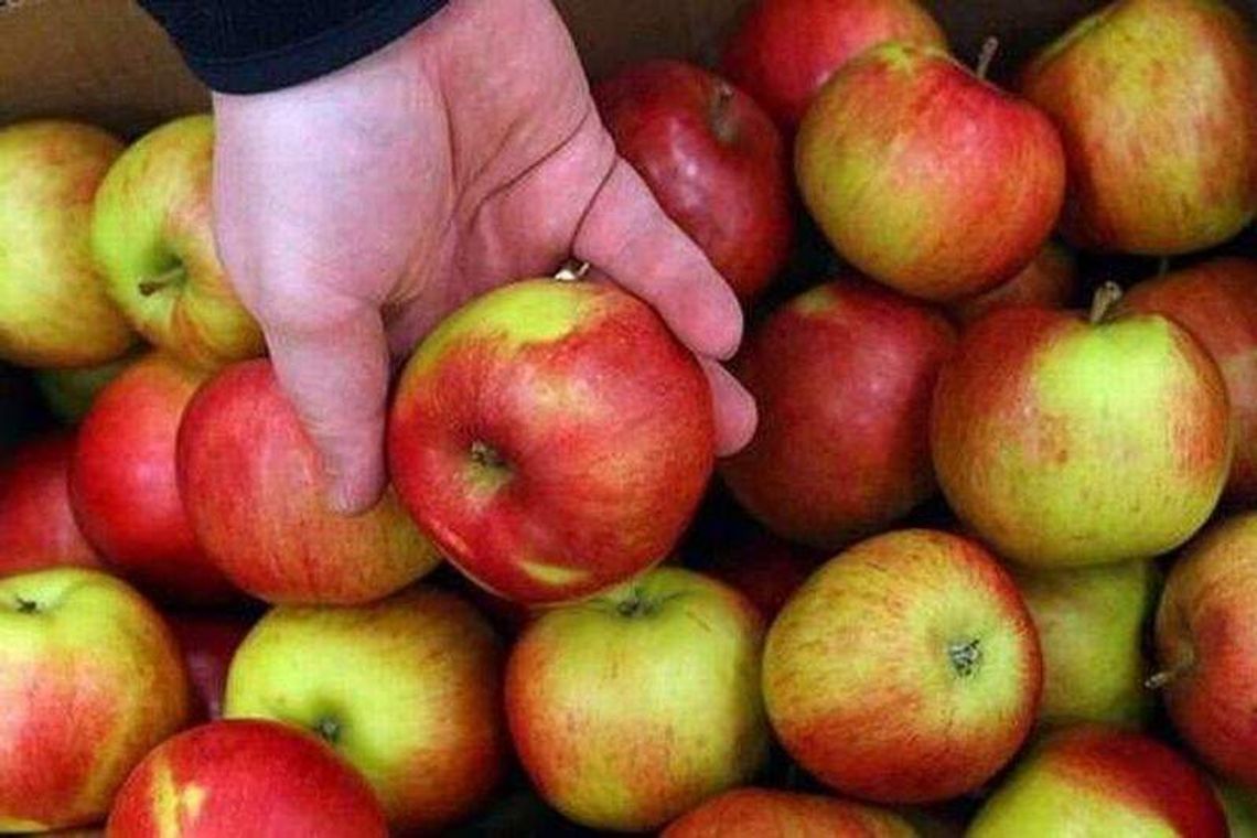 Kupcy wrócą na zielony rynek w Zamościu Kupcy wrócą na zielony rynek w Zamościu