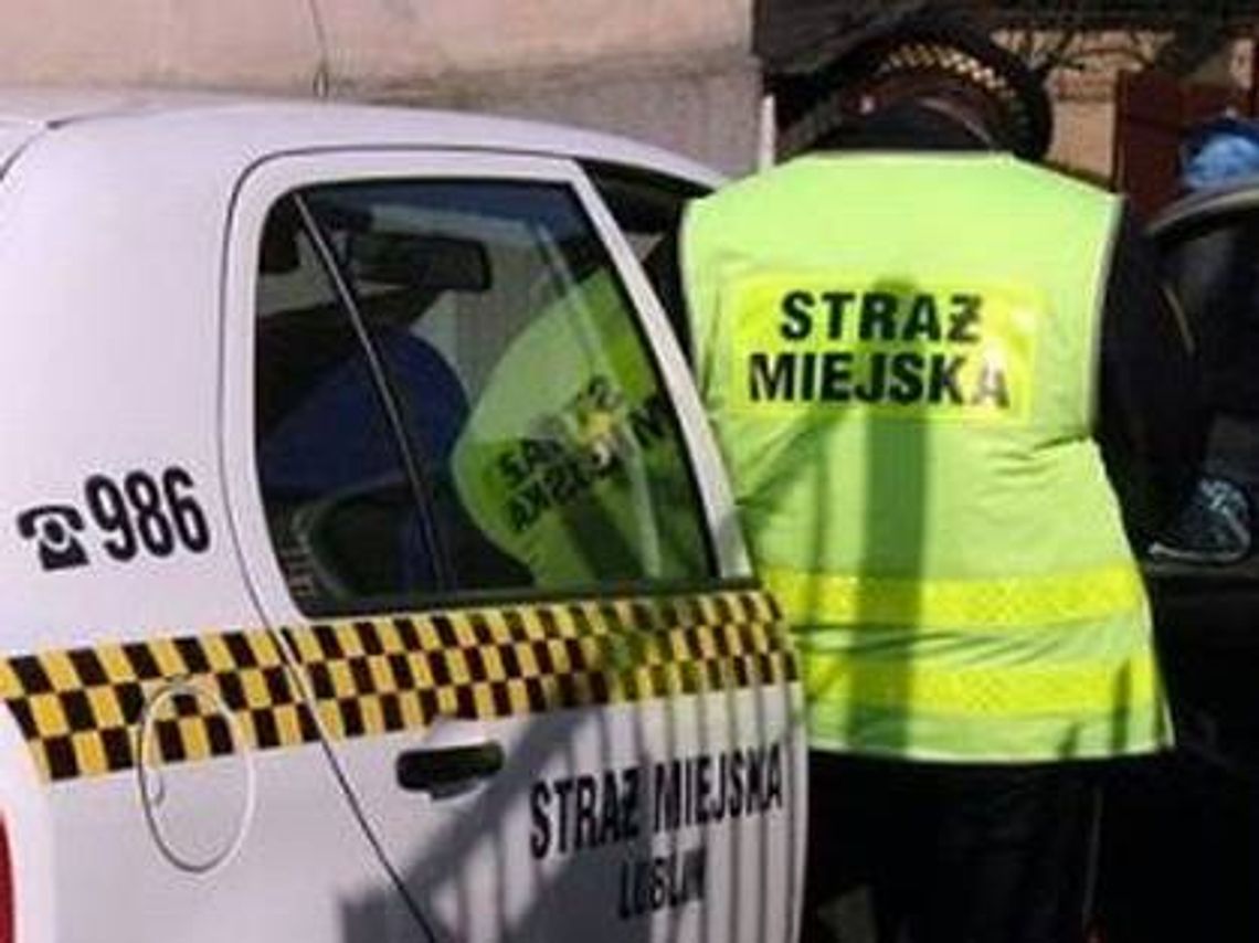 Kupią samochody m.in. dla straży miejskiej w Kraśniku Kupią samochody m.in. dla straży miejskiej w Kraśniku