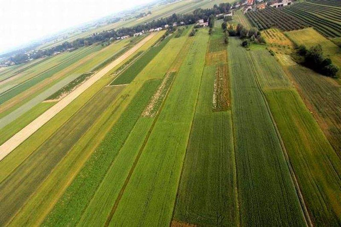 Kupili działkę razem z drogą. Przez błąd urzędnika?