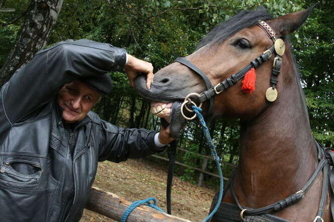 Kupujesz konia? Zajrzyj mu w zęby. Jarmark Koński w skansenie (wideo, zdjęcia)
