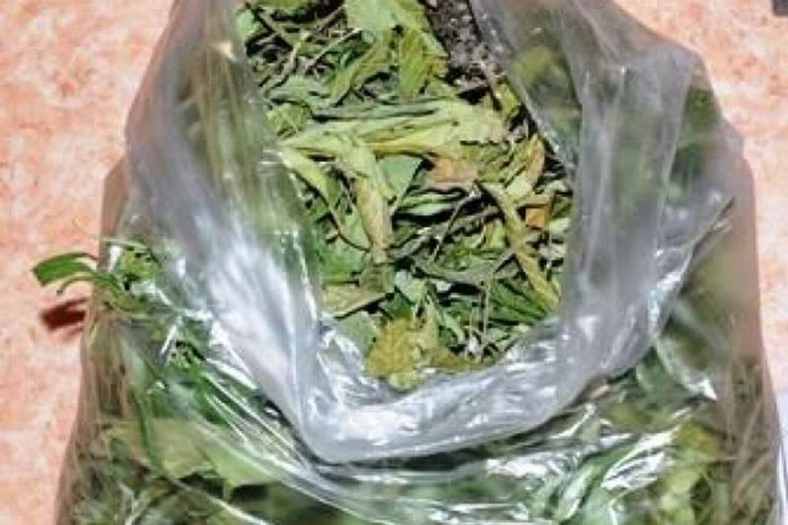 Kurów: Bracia mieli w domu narkotyki