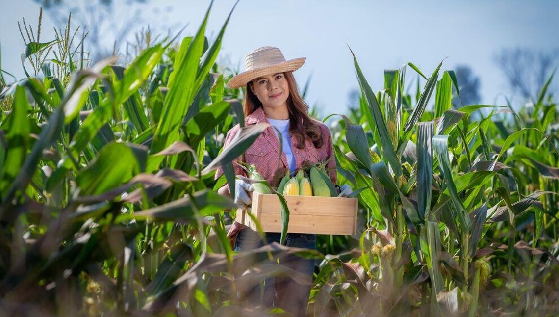 Kurs rolniczy online – jak wygląda? Czy warto?