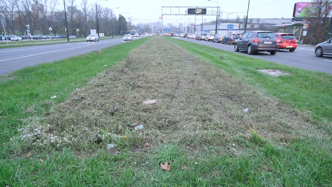 Kwitły i pachniały. Skoszą wszystkie łąki kwietne w Lublinie Kwitły i pachniały. Skoszą wszystkie łąki kwietne w Lublinie