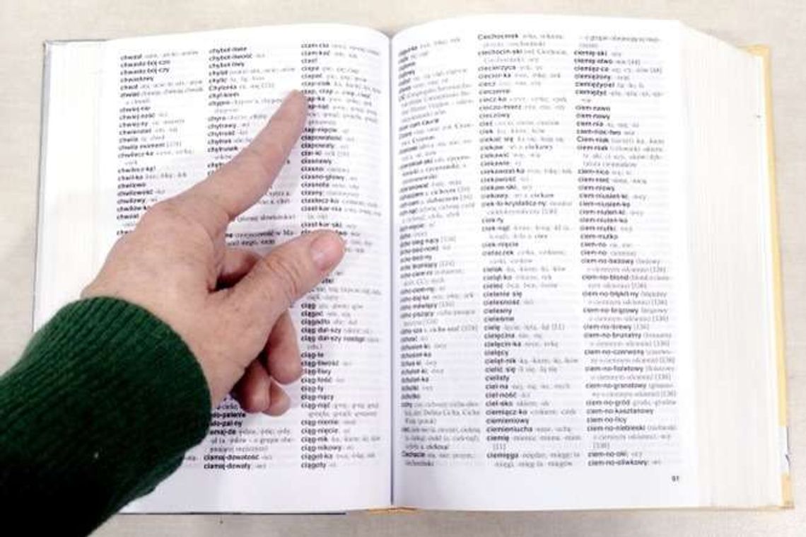 Kylo, brejdak Gela, co pazłotka zbiera. Rośnie słownik lubelskich słówek