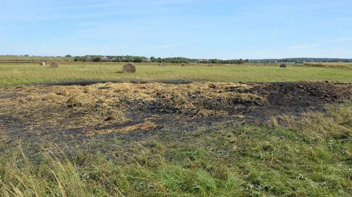 Łabunie: Duży pożar od niedopałka papierosa Łabunie: Duży pożar od niedopałka papierosa