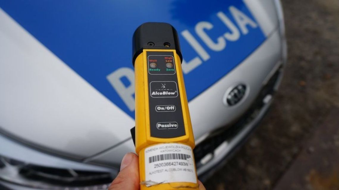 Łabunie: Pijana mama błąkała się z dzieckiem po parku