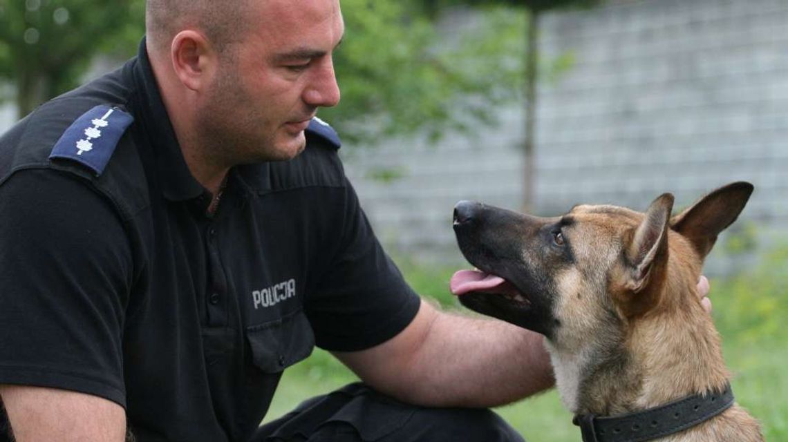 Łączy ich wspólna praca w policji. Oto najlepsze w woj. lubelskim psy służbowe i ich przewodnicy