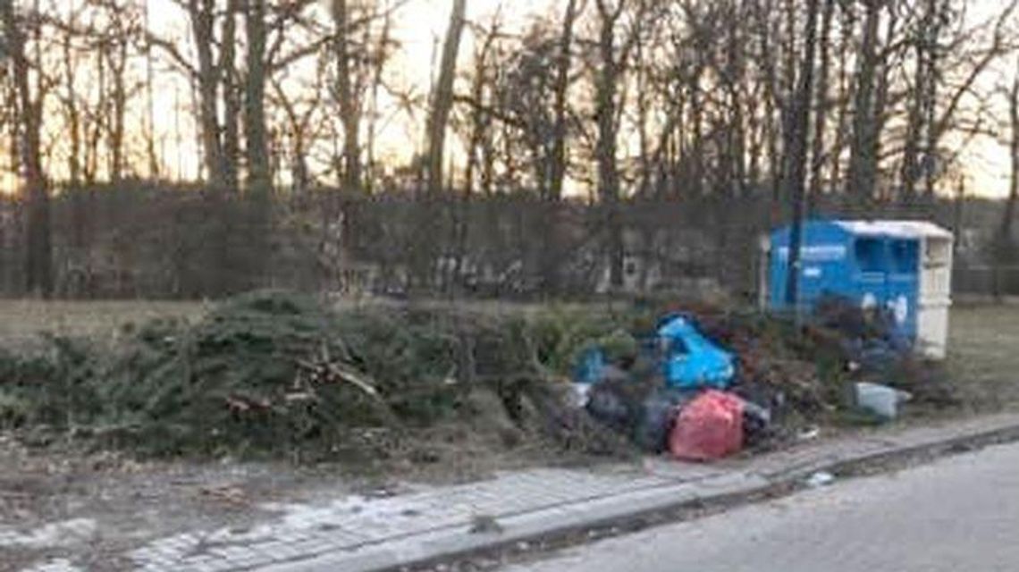 "Lada chwila zacznie się problem z odpadami zielonymi". Dlaczego zlikwidowano pojemniki?
