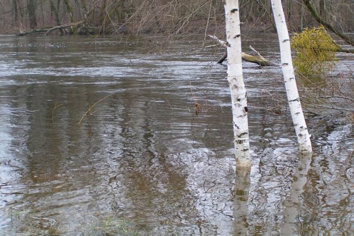 Ładunki trotylu razem ze zdjęciem Stadionu Narodowego pływały po Bugu 