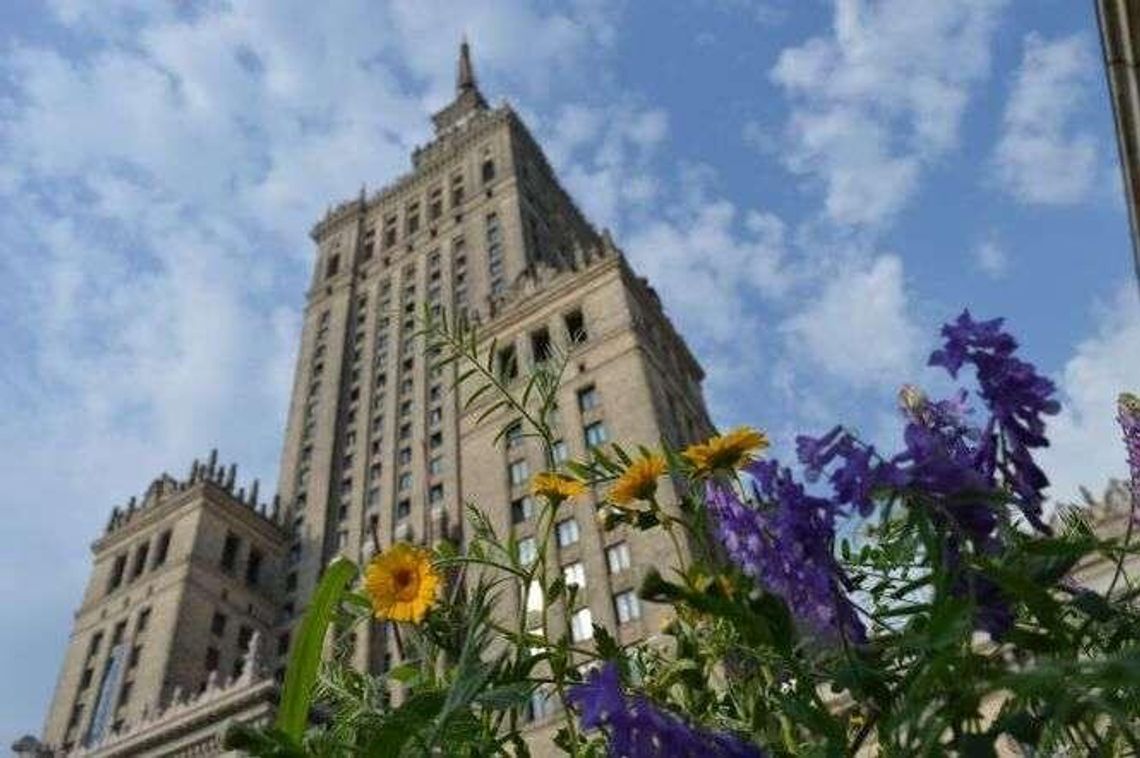 Łąki w mieście. "Lublin jeszcze nie jest na to gotowy" Łąki w mieście. "Lublin jeszcze nie jest na to gotowy"